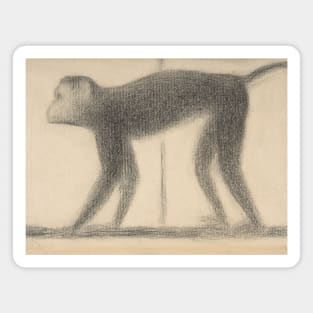 Monkey by Georges-Pierre Seurat Magnet